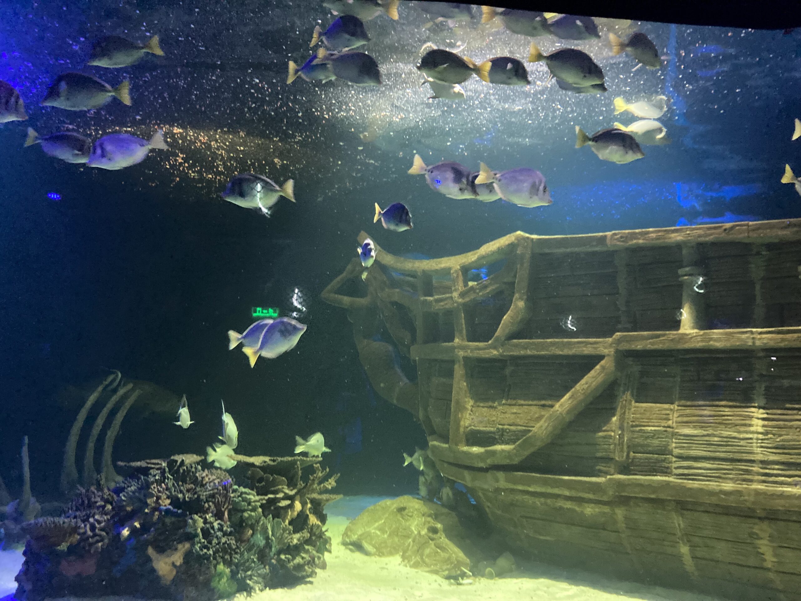 leon-aquarium
